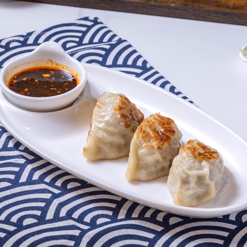 Pan Fried Pork Pot Stickers